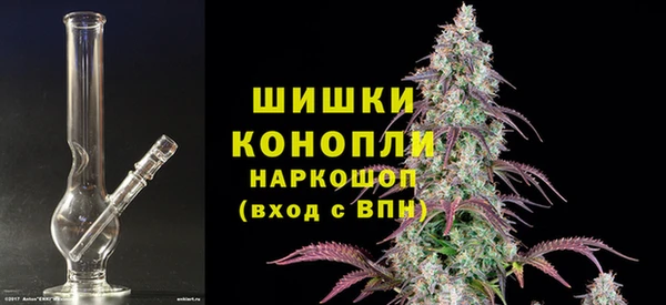 крисы Богородск