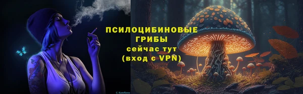 jwh Богородицк