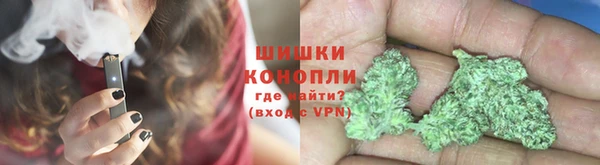 крисы Богородск