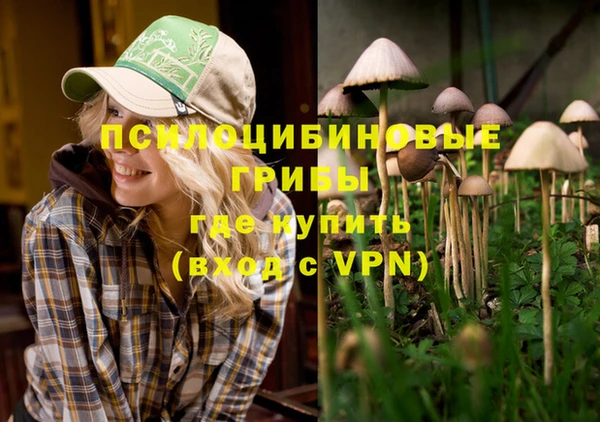 кокаин Богданович