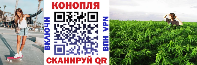 Бошки Шишки MAZAR Волчанск